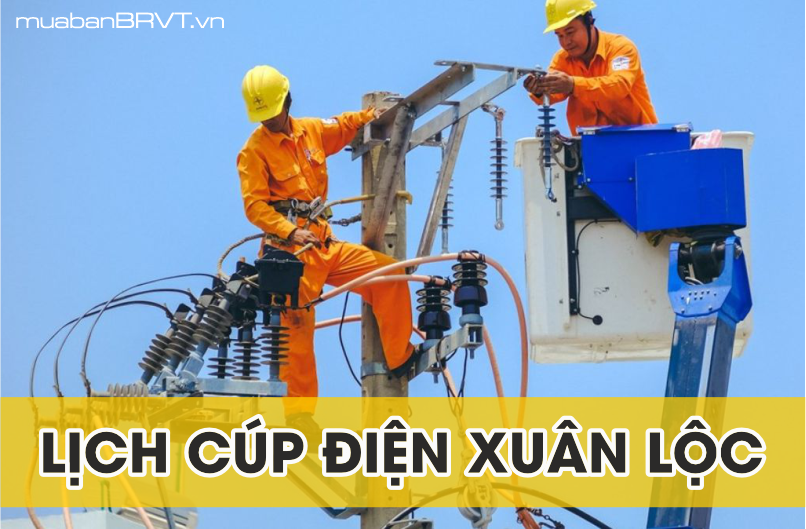 Lịch C&uacute;p Điện Xu&acirc;n Lộc Đồng Nai