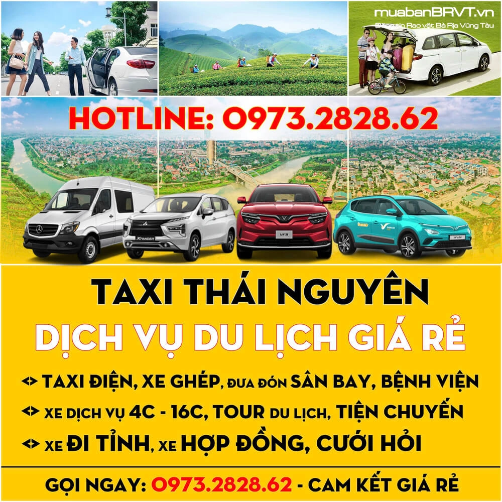 Taxi Điện QUY NHƠN Gia Lai