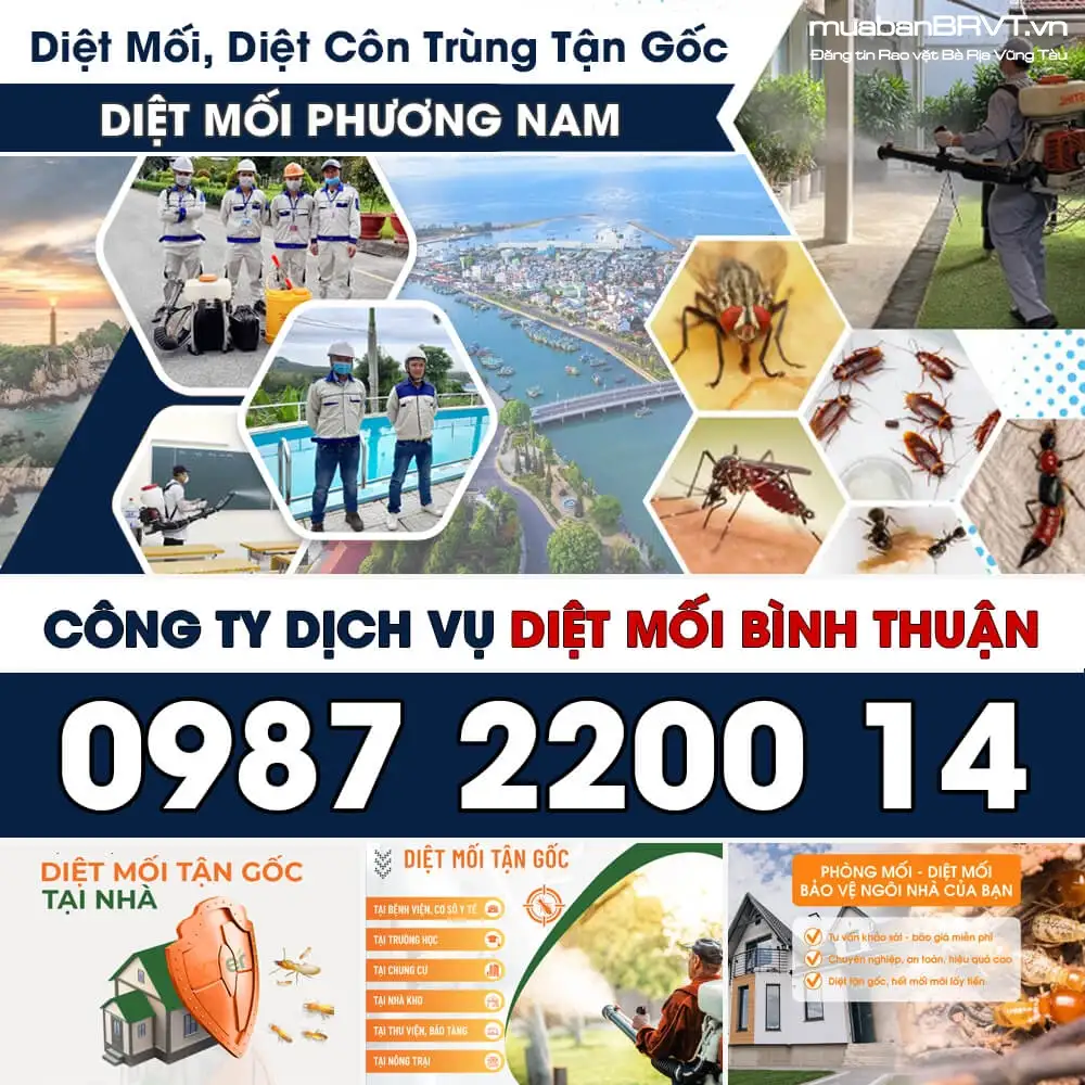 Dịch Vụ Diệt Mối TUY PHONG Bình Thuận - Diệt Tận Gốc, An toàn