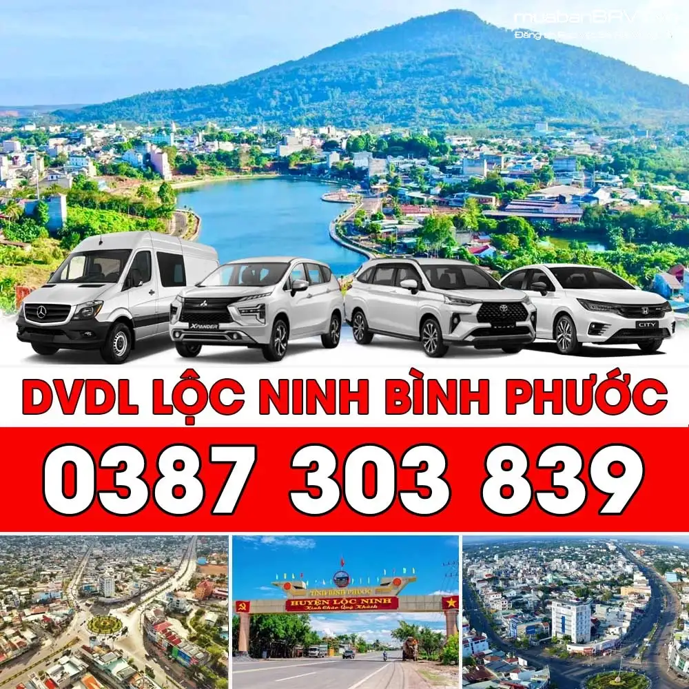Thuê Coppha LỘC NINH – Lắp đặt nhanh, tiết kiệm chi phí